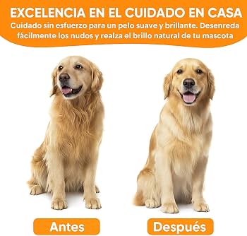 Cepillo Mascotas Vapor 3 en 1